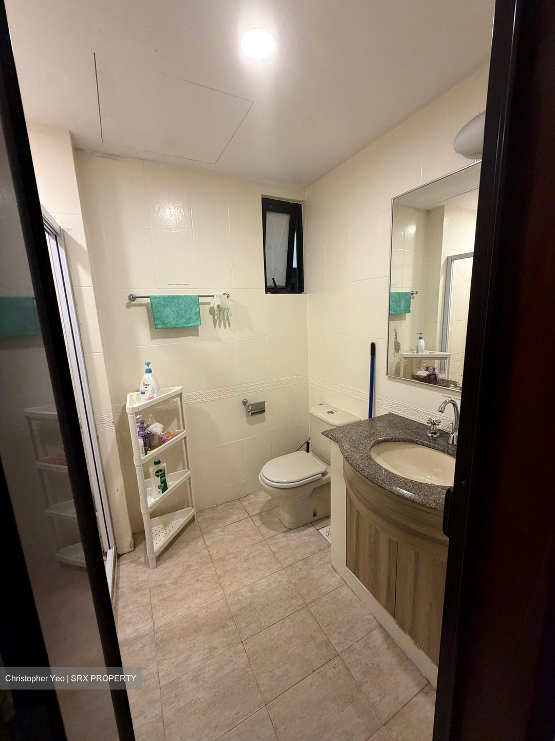 Eastpoint Green (D18), Condominium #538452721